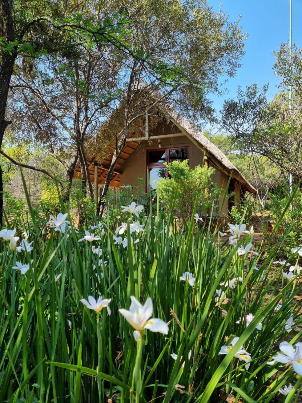 Tidimalo Lodge Rustenburg Bagian luar foto
